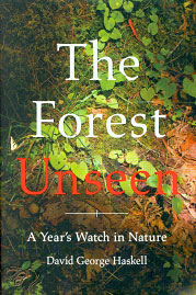 Forest Unseen