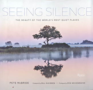 Seeing Silence