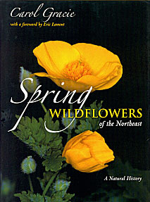 Spring Wildflowers