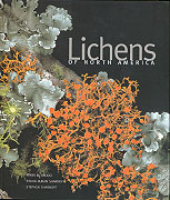 Lichens of North America
