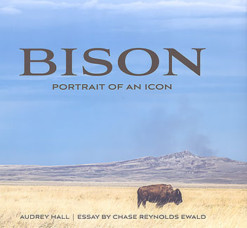 Bison