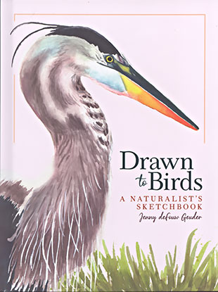 Drawn to Birds