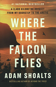 Falcon Flies