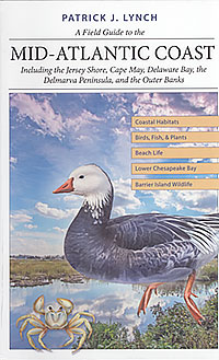 Field Guide to Mid-Atlantic Coast