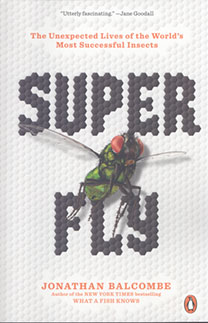 Super Fly