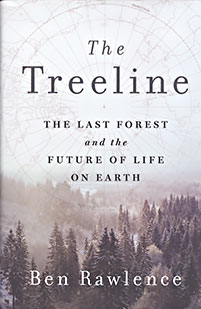 Treeline